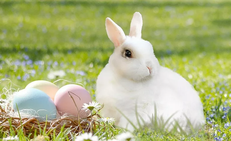 Ostern am Gardasee