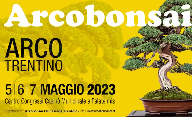 Arcobonsai in Arco.