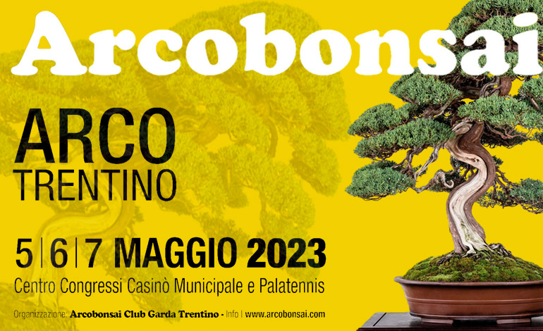 Arcobonsai in Arco.