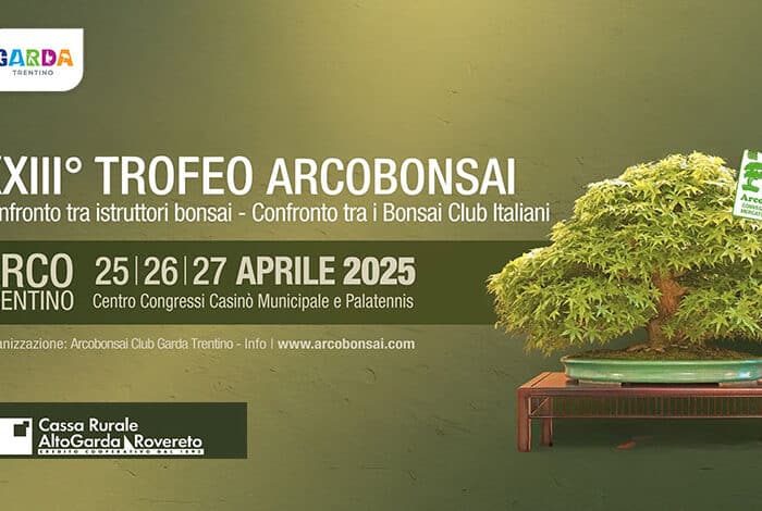 Arcobonsai 2025
