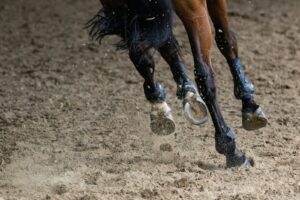 Hufe eines Pferdes in Bewegung auf Sand, Symbolbild zum Pferdesport